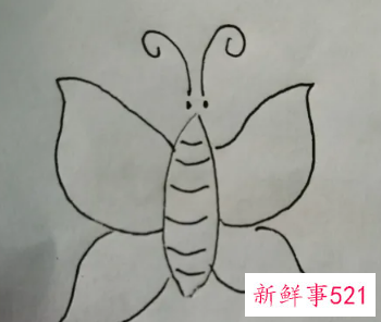 蝴蝶的翅膀花纹怎么画