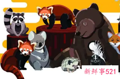 保护野生动物的英语作文100字