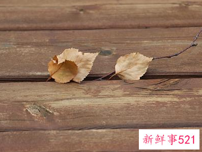 有暴力倾向的女人有哪些症状