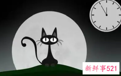 夜不归宿靠谱的理由