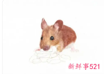 2022年下半年复合的生肖男