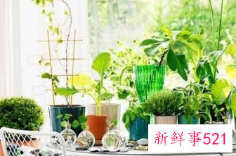 矿泉水瓶自制加湿器