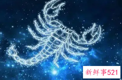 分手后无法挽回的星座
