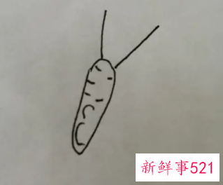 蝴蝶的翅膀花纹怎么画