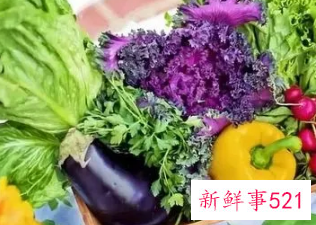 蔬菜长时间保存保鲜条件