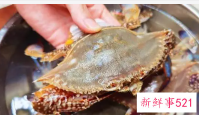 一次吃几只螃蟹最合适