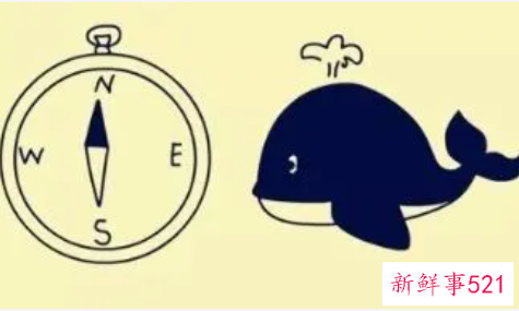 有什么考验智商的问题