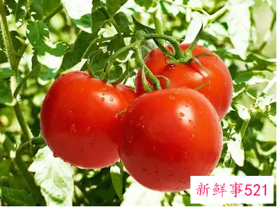 什么水果祛斑最快