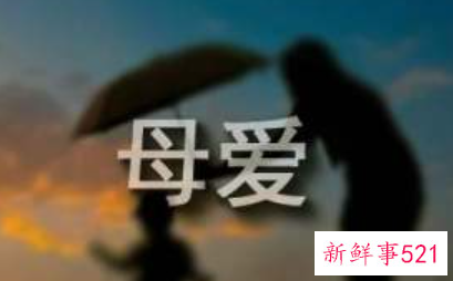 关于母亲的文章