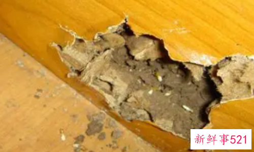 家里的木门如何改变颜色