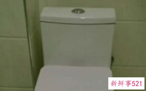 怎样训练猫用马桶