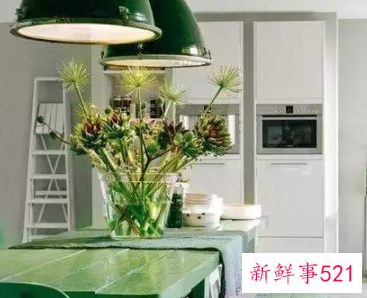 怎么样用植物打造好风水