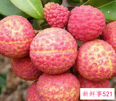 什么水果含维生素最高