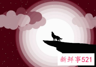 梦见狼叫是什么寓意