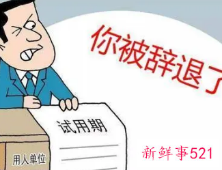 试用期突然辞退员工怎么补偿