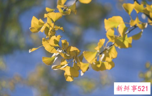 人与人之间如何做到和谐相处