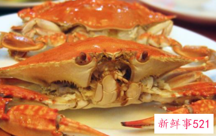 螃蟹不能和什么东西一起吃