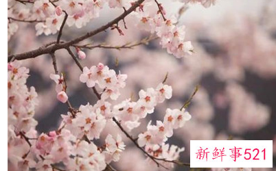 为什么运气突然不好