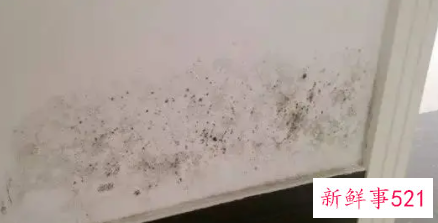 屋里潮湿有霉味怎么去除