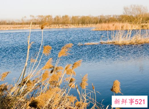 惹女朋友生气了怎么挽回