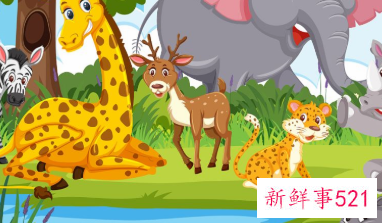 宝宝的故事推荐