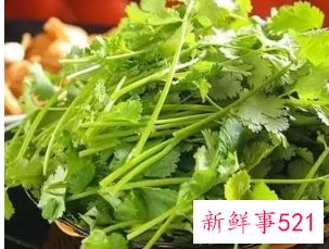 闻香菜臭的人基因问题