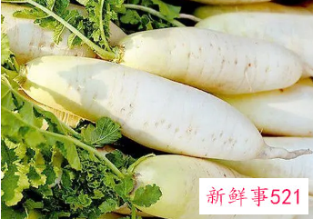 白萝卜哪些人不宜吃