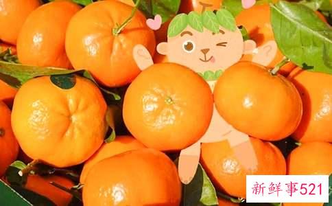 橘子的功效与作用