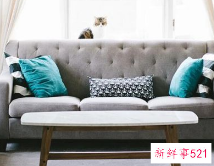 梦见坐垫是什么意思