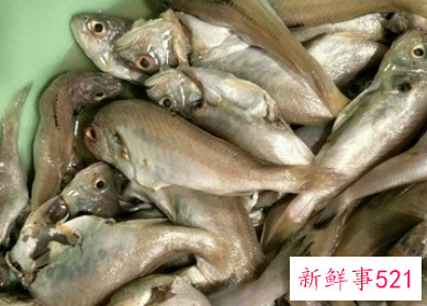 干熏鱼的做法