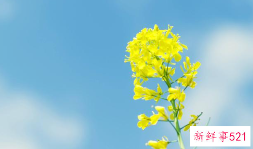 男人开始冷落你该怎么办