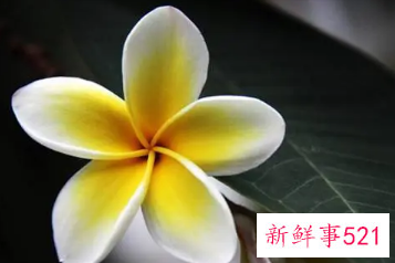 很有寓意的网名