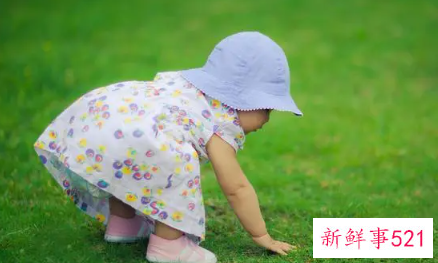 诗经中带火和木的名字