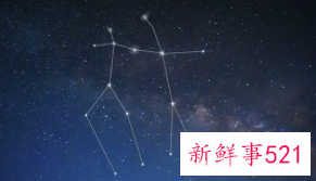 知识渊博的星座女