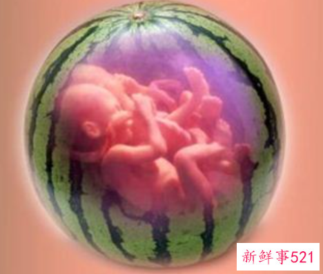 梦见自己怀孕又流产是什么意思