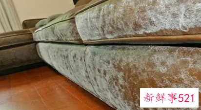 床头发霉怎么处理方法