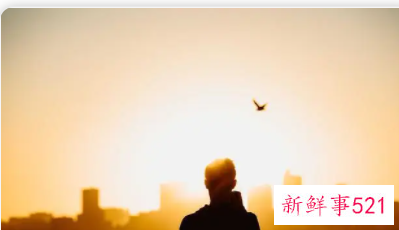 刚认识虚伪又热情新鲜又浪漫