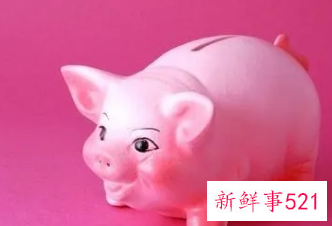 95年猪火命和96年属水命婚姻