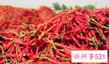 辣椒什么时候进入中国