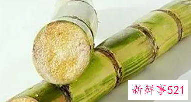 梦见吃甘蔗是什么征兆