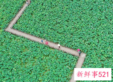 惊人的9个定律原来这就是人性