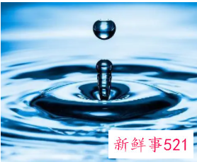 无根之水是什么