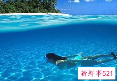 怎样才能让自己学会游泳