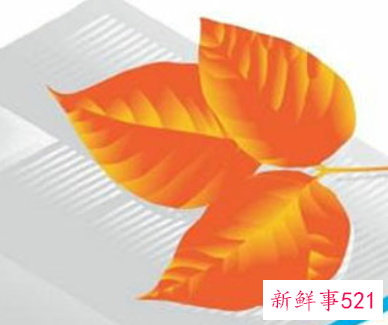 二级建造师网上报名怎么报名