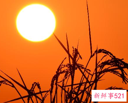 简短狼性团队口号押韵