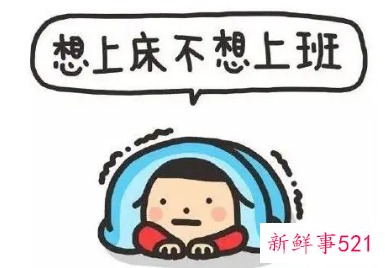 一天工作的总结感受