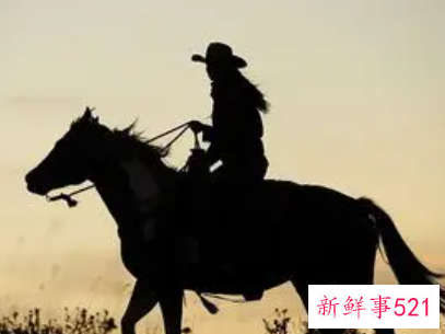 梦见赛马有什么征兆呢