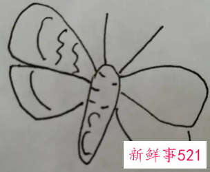 蝴蝶的翅膀花纹怎么画
