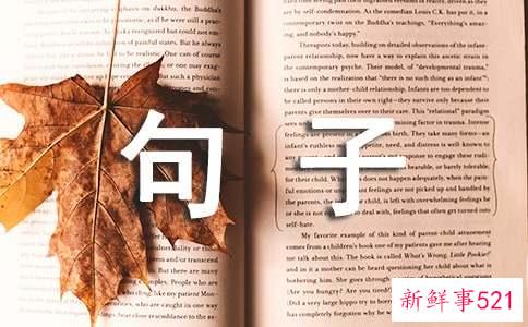 又甜又撩的睡前句子