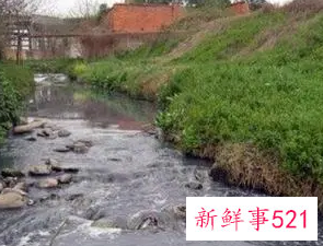 梦见臭水沟边走好不好